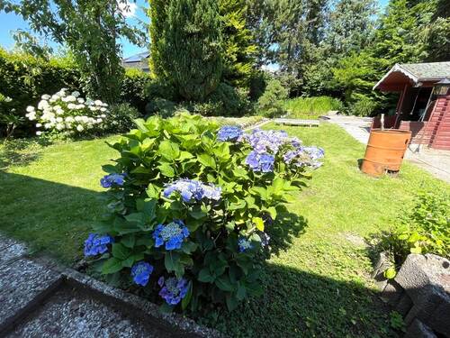 Im Garten - 