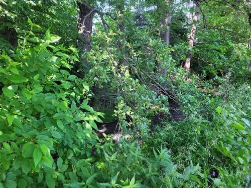 Der Bachlauf der kleinen Striegis - 