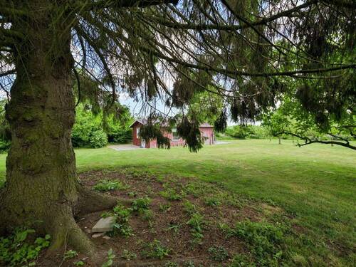 Freundlich - 