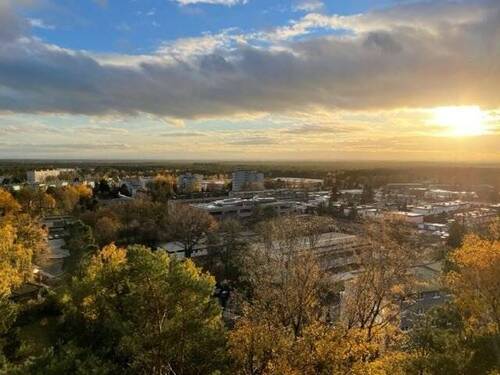Ausblick - 
