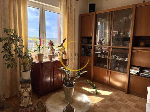 OG: Ausblick Wohnzimmer - 