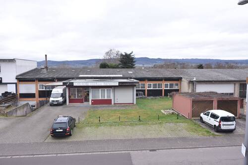 Straßenansicht - Grundstück in Ingelheim am Rhein