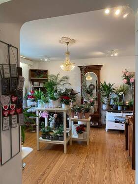 Vorderhaus EG - 