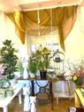 Vorderhaus EG - 