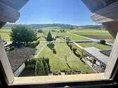 Blick ins Grüne - 5 Zimmer Mehrfamilienhaus, Wohnhaus zum Kaufen in Schaafheim / Mosbach