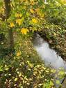 Bach vor dem Haus - 