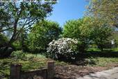 Naturnaher Garten mit altem Baumbestand und Ruheoase - 