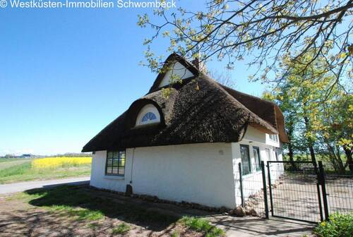 Klassisches Reetdachhaus mit charakteristischem Giebel und ländlichem Charme - 