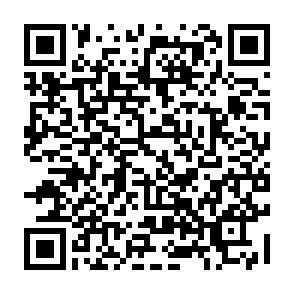 QR-Code - 