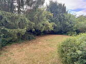 Grüner Garten / Innenhof - 