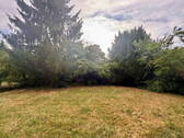 Grüner Garten / Innenhof - 