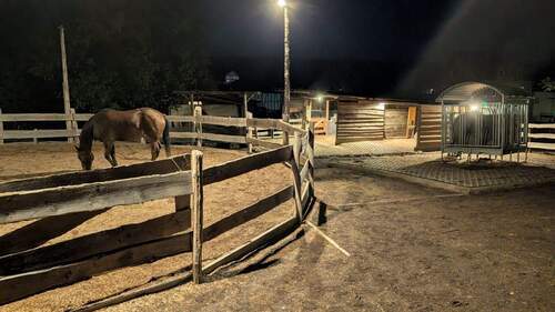 IMG-20251020-WA0006.jpg - 