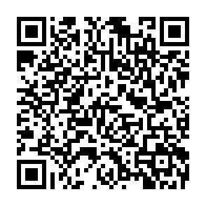 QR-Code - 
