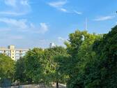 Ausblick - 