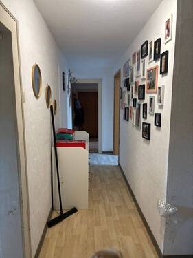 IMG_6831.jpeg - 