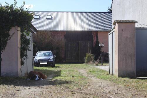 Bild 3 - 6 Zimmer Einfamilienhaus in Templin