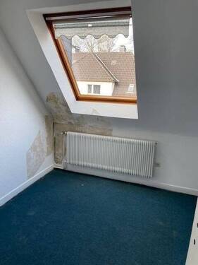 Zimmer DG - 