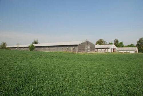 Ansicht - Großzügige Halle mit separatem Büro! Die ideale Lagerfläche in ländlicher Umgebung