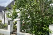 Außenansicht - Zauberhaftes Zuhause auf Zeit! Einfam.-Haus mit 4½ Zimmern, Garage & Terrasse in Heidhausen