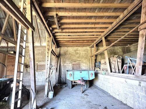 Schone OG - 