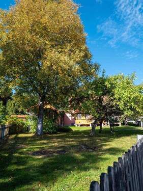 Garten - 