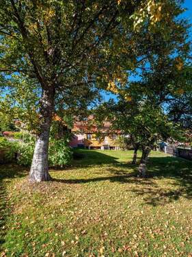 Garten - 