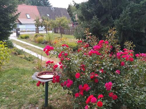 IMG_20250917_132900805.jpg - 