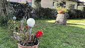 6 - Portrait GS - 