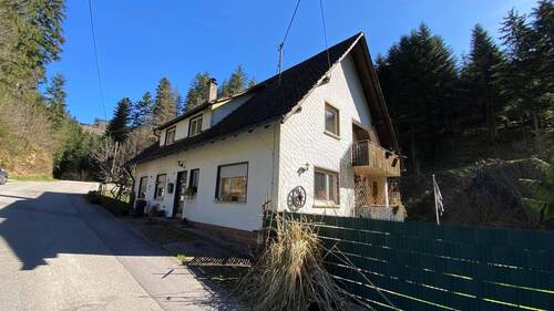 Außenansicht - 9 Zimmer Mehrfamilienhaus, Wohnhaus zum Kaufen in Oppenau