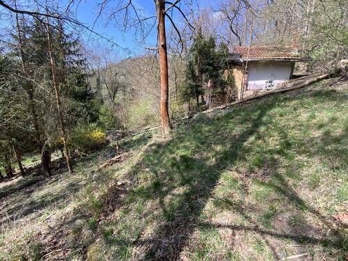 Gartenhaus - 2 Zimmer Bungalow in Bad Blankenburg