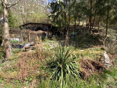 überdachte Bar mit Gartenteich - 