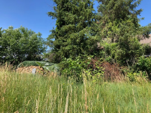 e49b4105-31cf-43ee-8963-1bf12a12cca1 - Grundstück zum Kaufen in Böhl-Iggelheim