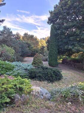 Im hinteren Grundstücksteil - 