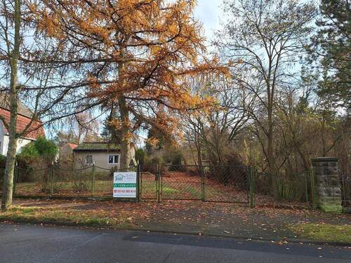 Blick auf das Grundstück - Großes Grundstück an der Löcknitz