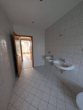 PXL_20251104_112926433.jpg - 