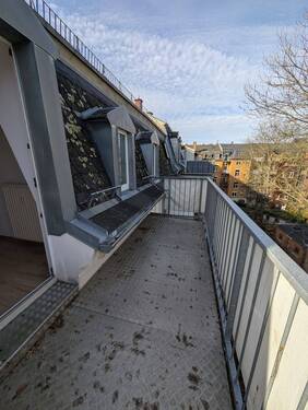 PXL_20251104_112951579.jpg - 