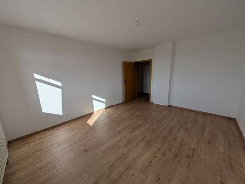 PXL_20251104_112911021.jpg - 