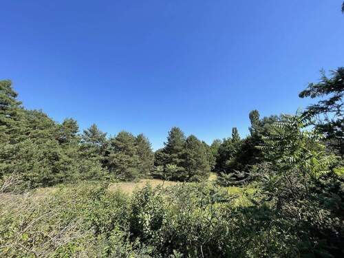 Blick von der Terrasse - 