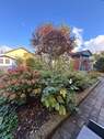 Garten vor dem Haus - 