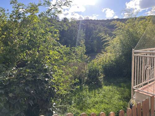 Blick in den Garten.jpg - 