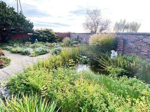 Gartenimpressionen - 