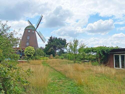 Viel Platz für Kind, Hund und Katz! - 