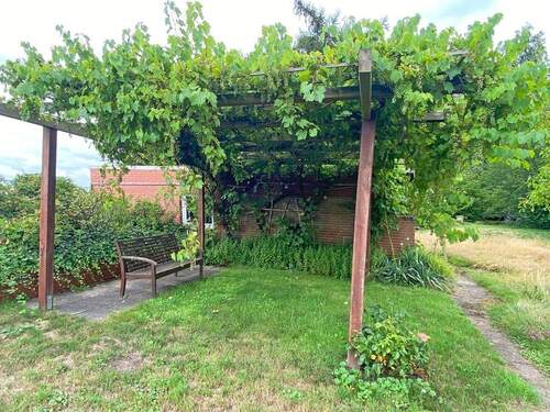 Ein schattiges Plätzchen - 