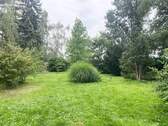 Gartenimpressionen - 