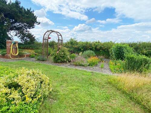 Gartenimpressionen - 