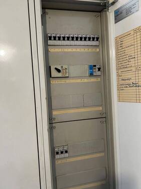 IMG_2736.jpeg - 