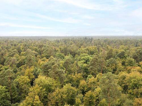 Aussicht - Etagenwohnung mit 82,00 m&sup2; in Karlsruhe / Waldstadt zum Kaufen