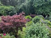 IMG_2985.jpeg - 