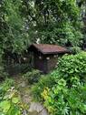 IMG_3007.jpeg - 