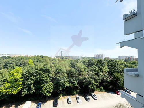 Ausblick - 